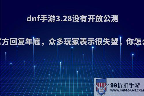 dnf手游3.28没有开放公测，官方回复年底，众多玩家表示很失望，你怎么看?