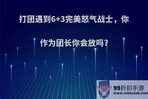 打团遇到6+3完美怒气战士，你作为团长你会放吗?