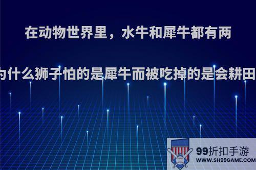 在动物世界里，水牛和犀牛都有两个角，为什么狮子怕的是犀牛而被吃掉的是会耕田的水牛?