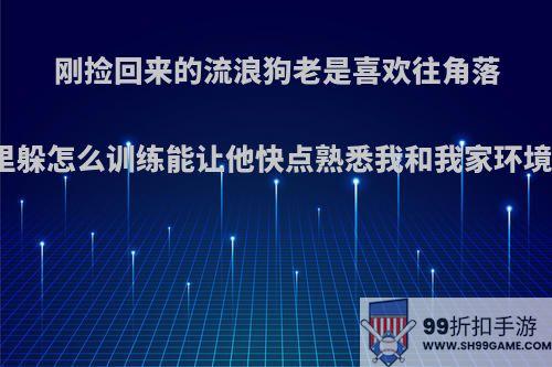 刚捡回来的流浪狗老是喜欢往角落里躲怎么训练能让他快点熟悉我和我家环境?