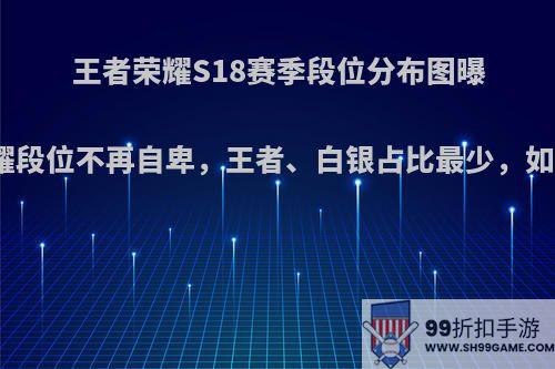 王者荣耀S18赛季段位分布图曝光，星耀段位不再自卑，王者、白银占比最少，如何评价?