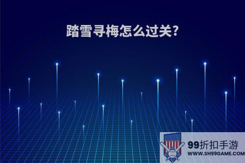 踏雪寻梅怎么过关?