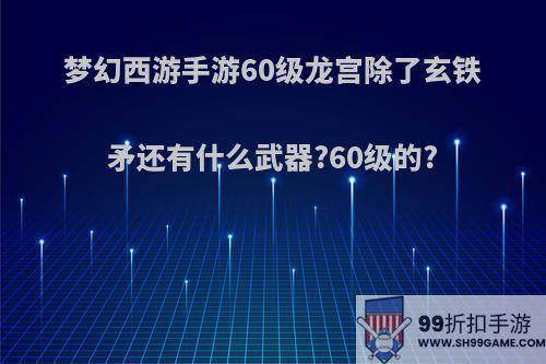 梦幻西游手游60级龙宫除了玄铁矛还有什么武器?60级的?