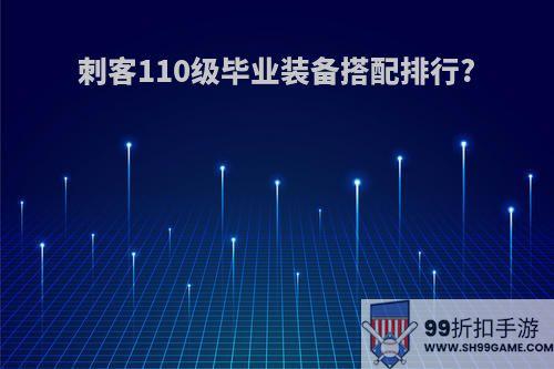 刺客110级毕业装备搭配排行?