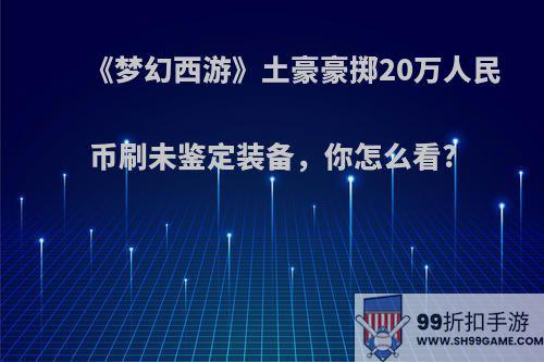 《梦幻西游》土豪豪掷20万人民币刷未鉴定装备，你怎么看?