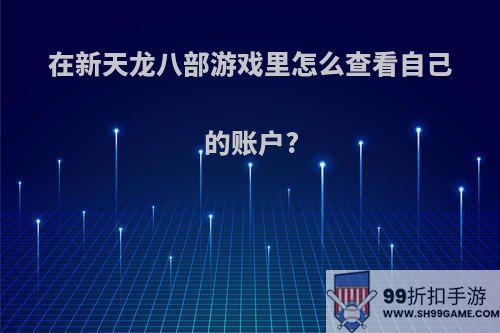 在新天龙八部游戏里怎么查看自己的账户?