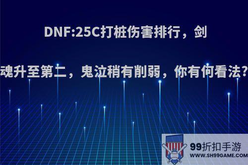 DNF:25C打桩伤害排行，剑魂升至第二，鬼泣稍有削弱，你有何看法?