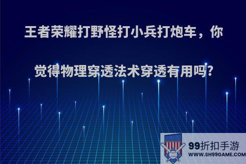 王者荣耀打野怪打小兵打炮车，你觉得物理穿透法术穿透有用吗?