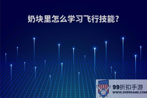 奶块里怎么学习飞行技能?