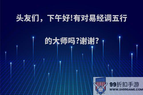 头友们，下午好!有对易经调五行的大师吗?谢谢?