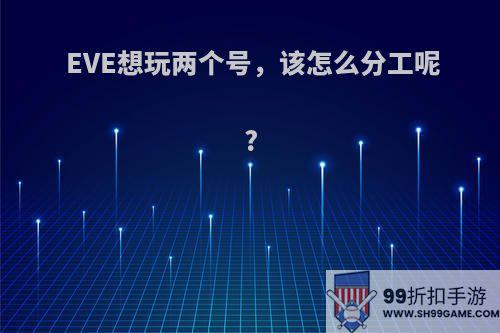 EVE想玩两个号，该怎么分工呢?