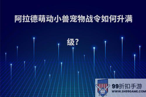 阿拉德萌动小兽宠物战令如何升满级?