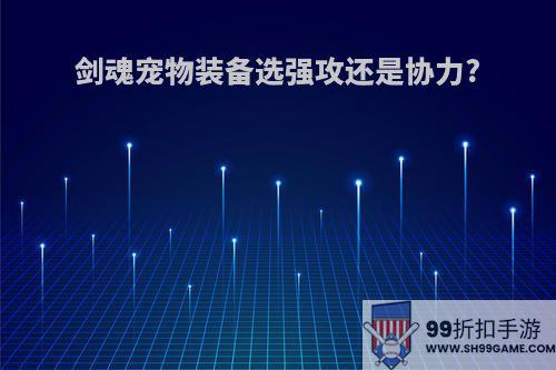 剑魂宠物装备选强攻还是协力?