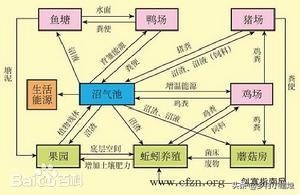 在农村办生态农场如何发展才好呢?(在农村办生态农场如何发展才好呢)